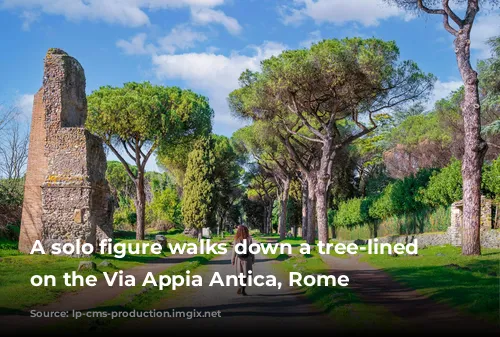 A solo figure walks down a tree-lined pathway on the Via Appia Antica, Rome