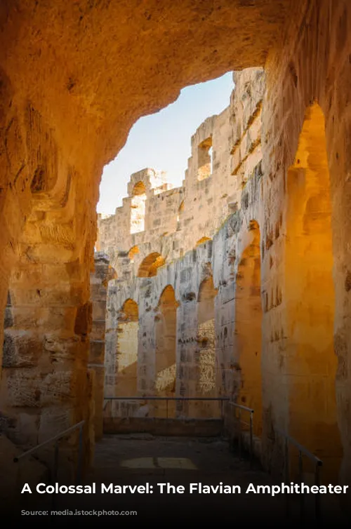 A Colossal Marvel: The Flavian Amphitheater