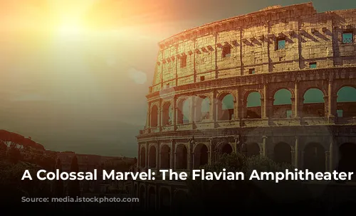 A Colossal Marvel: The Flavian Amphitheater