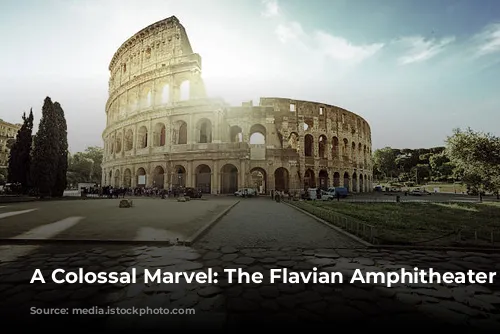 A Colossal Marvel: The Flavian Amphitheater