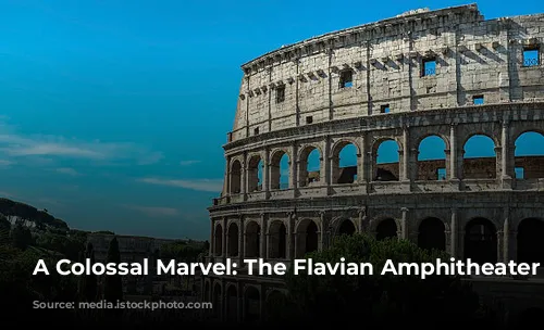 A Colossal Marvel: The Flavian Amphitheater