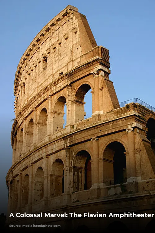 A Colossal Marvel: The Flavian Amphitheater