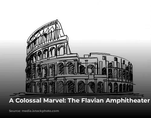 A Colossal Marvel: The Flavian Amphitheater