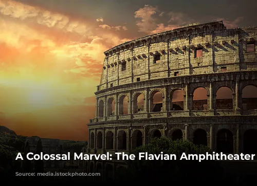 A Colossal Marvel: The Flavian Amphitheater