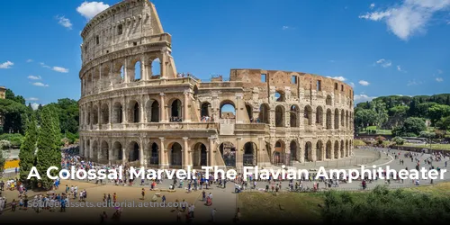 A Colossal Marvel: The Flavian Amphitheater