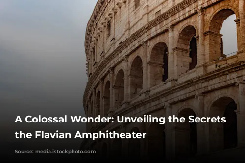 A Colossal Wonder: Unveiling the Secrets of the Flavian Amphitheater