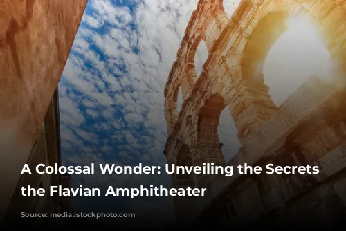 A Colossal Wonder: Unveiling the Secrets of the Flavian Amphitheater