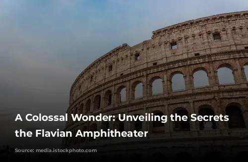 A Colossal Wonder: Unveiling the Secrets of the Flavian Amphitheater