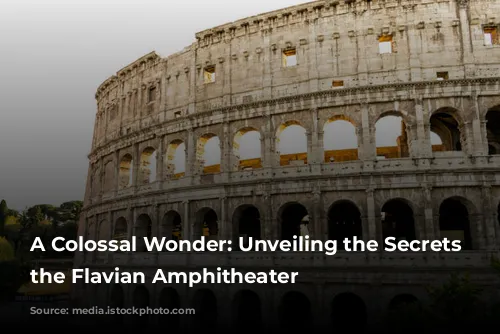 A Colossal Wonder: Unveiling the Secrets of the Flavian Amphitheater