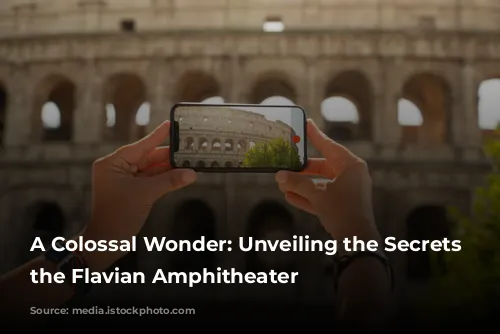 A Colossal Wonder: Unveiling the Secrets of the Flavian Amphitheater