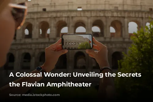 A Colossal Wonder: Unveiling the Secrets of the Flavian Amphitheater