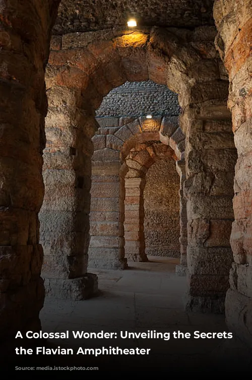 A Colossal Wonder: Unveiling the Secrets of the Flavian Amphitheater