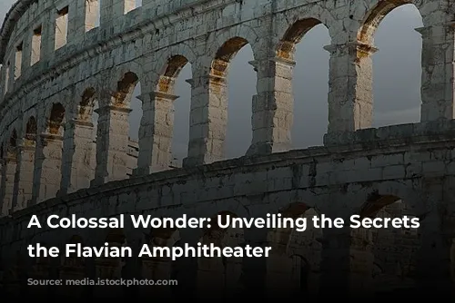 A Colossal Wonder: Unveiling the Secrets of the Flavian Amphitheater