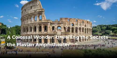 A Colossal Wonder: Unveiling the Secrets of the Flavian Amphitheater