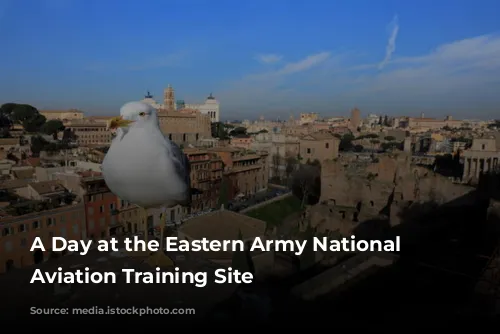 A Day at the Eastern Army National Guard Aviation Training Site