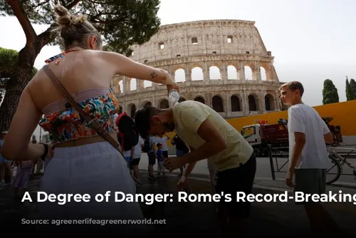 A Degree of Danger: Rome's Record-Breaking Heatwave