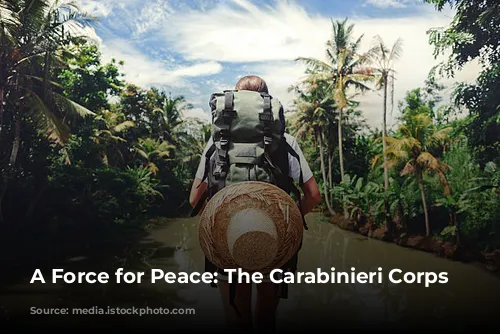 A Force for Peace: The Carabinieri Corps