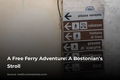 A Free Ferry Adventure: A Bostonian's Sunday Stroll