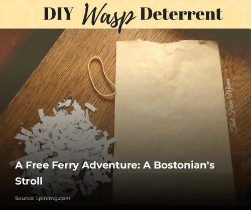 A Free Ferry Adventure: A Bostonian's Sunday Stroll