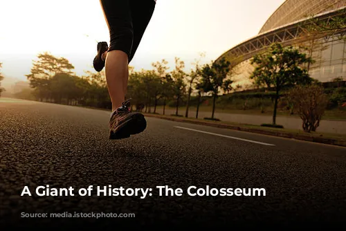 A Giant of History: The Colosseum