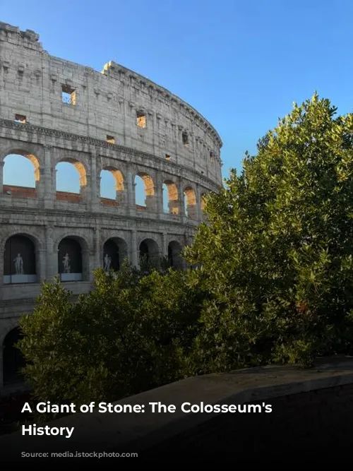 A Giant of Stone: The Colosseum's Majestic History