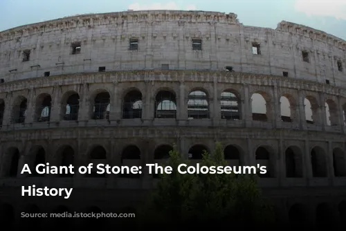 A Giant of Stone: The Colosseum's Majestic History