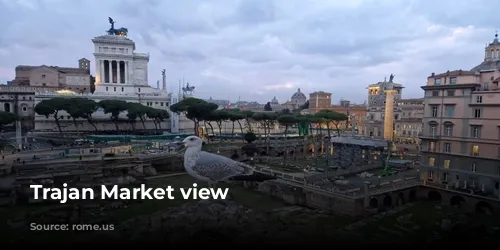 Trajan Market view