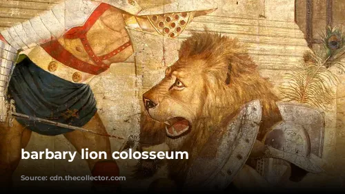 barbary lion colosseum