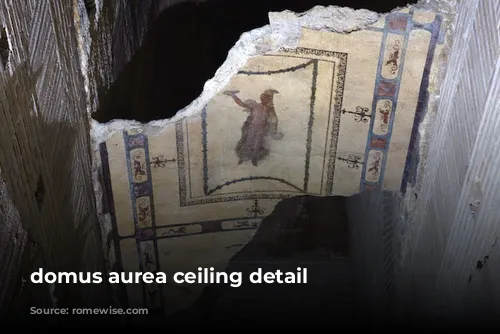 domus aurea ceiling detail