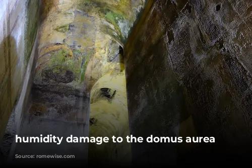 humidity damage to the domus aurea walls