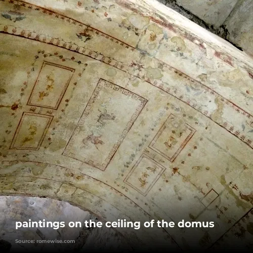 paintings on the ceiling of the domus aurea