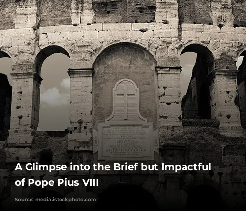 A Glimpse into the Brief but Impactful Reign of Pope Pius VIII