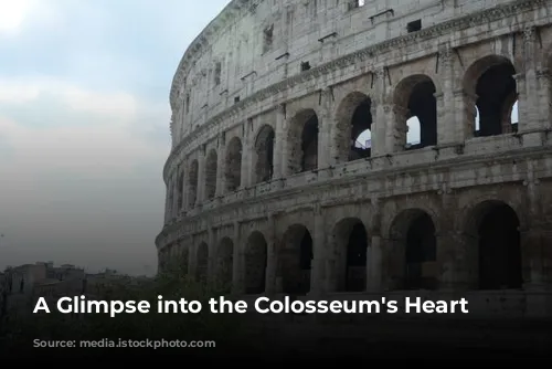 A Glimpse into the Colosseum's Heart