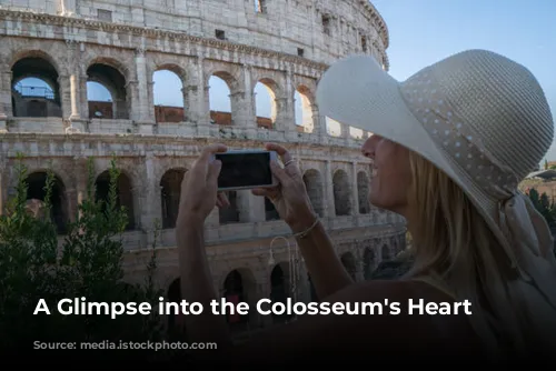 A Glimpse into the Colosseum's Heart