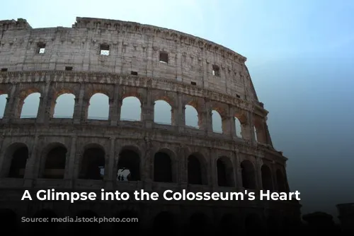 A Glimpse into the Colosseum's Heart