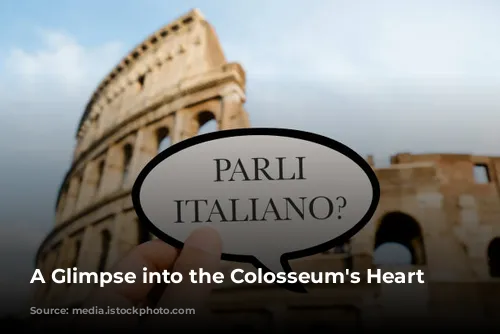 A Glimpse into the Colosseum's Heart