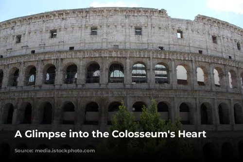 A Glimpse into the Colosseum's Heart