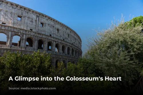 A Glimpse into the Colosseum's Heart