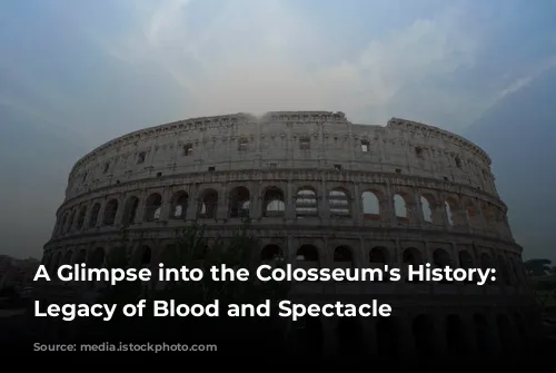 A Glimpse into the Colosseum's History: A Legacy of Blood and Spectacle