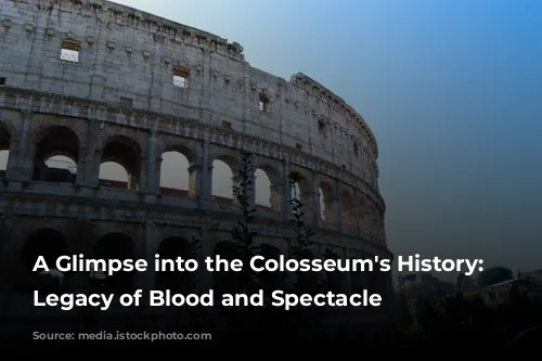 A Glimpse into the Colosseum's History: A Legacy of Blood and Spectacle