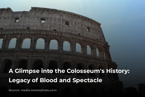 A Glimpse into the Colosseum's History: A Legacy of Blood and Spectacle