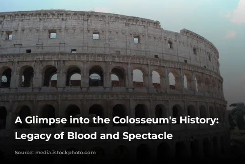 A Glimpse into the Colosseum's History: A Legacy of Blood and Spectacle