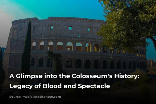 A Glimpse into the Colosseum's History: A Legacy of Blood and Spectacle