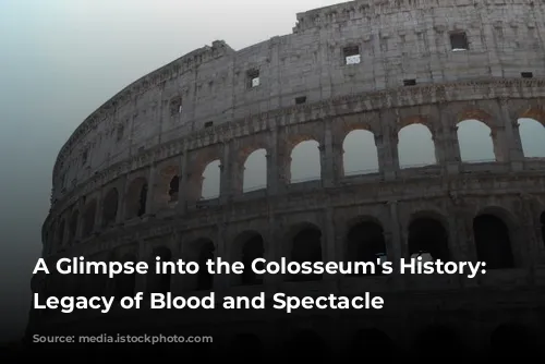 A Glimpse into the Colosseum's History: A Legacy of Blood and Spectacle