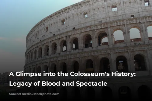 A Glimpse into the Colosseum's History: A Legacy of Blood and Spectacle