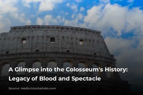 A Glimpse into the Colosseum's History: A Legacy of Blood and Spectacle