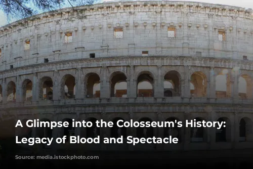 A Glimpse into the Colosseum's History: A Legacy of Blood and Spectacle