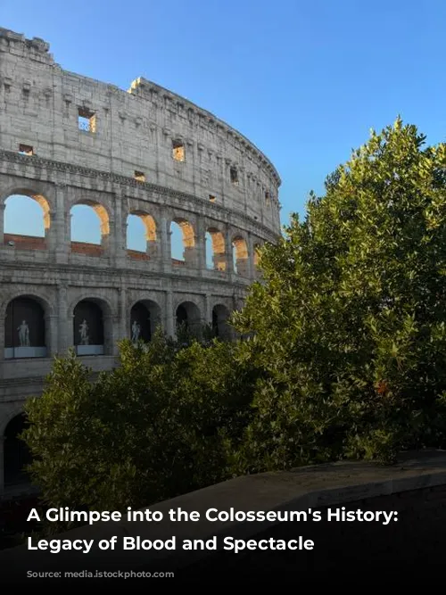 A Glimpse into the Colosseum's History: A Legacy of Blood and Spectacle