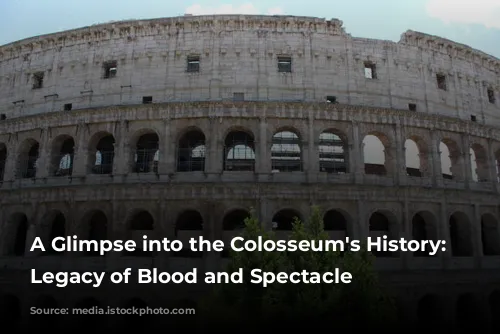 A Glimpse into the Colosseum's History: A Legacy of Blood and Spectacle