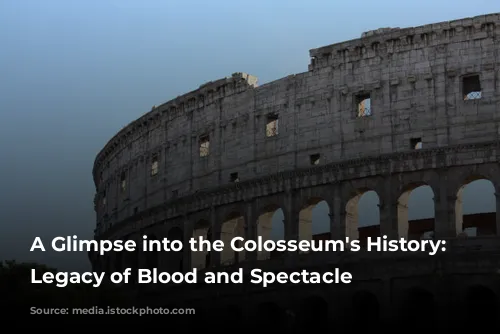 A Glimpse into the Colosseum's History: A Legacy of Blood and Spectacle